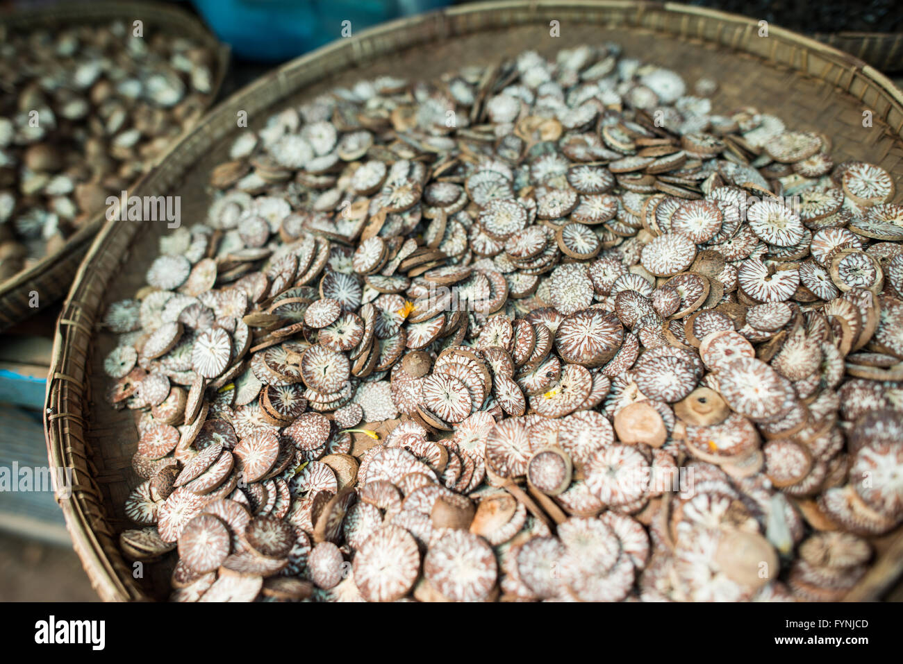 NYAUNG-U, Myanmar - in Scheiben geschnitten Betel Muttern bei Nyaung-U Markt, in der Nähe von Bagan, Myanmar (Birma). Die Nüsse sind oft in Betelblätter platziert und kaute. Der Markt ist auch als Mani Sithu Markt bekannt. Stockfoto