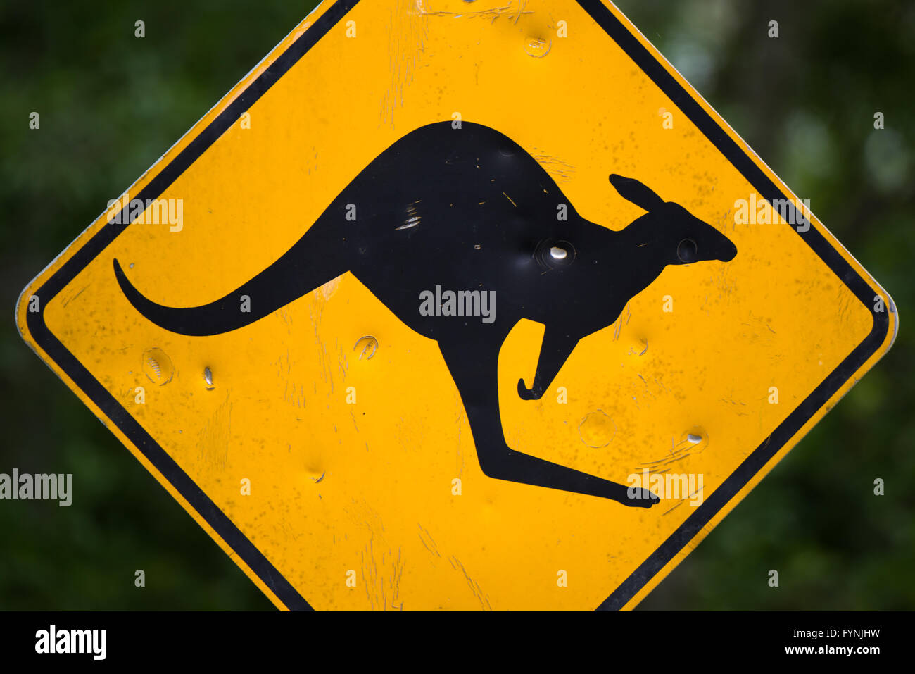 OUTBACK, Australien – vor dem Hintergrund der trockenen australischen Landschaft steht Ein gelbes, diamantförmiges Straßenschild mit einem springenden Känguru. Das legendäre Warnschild warnt Fahrer vor Wildtieren auf der abgelegenen Outback Road. Stockfoto