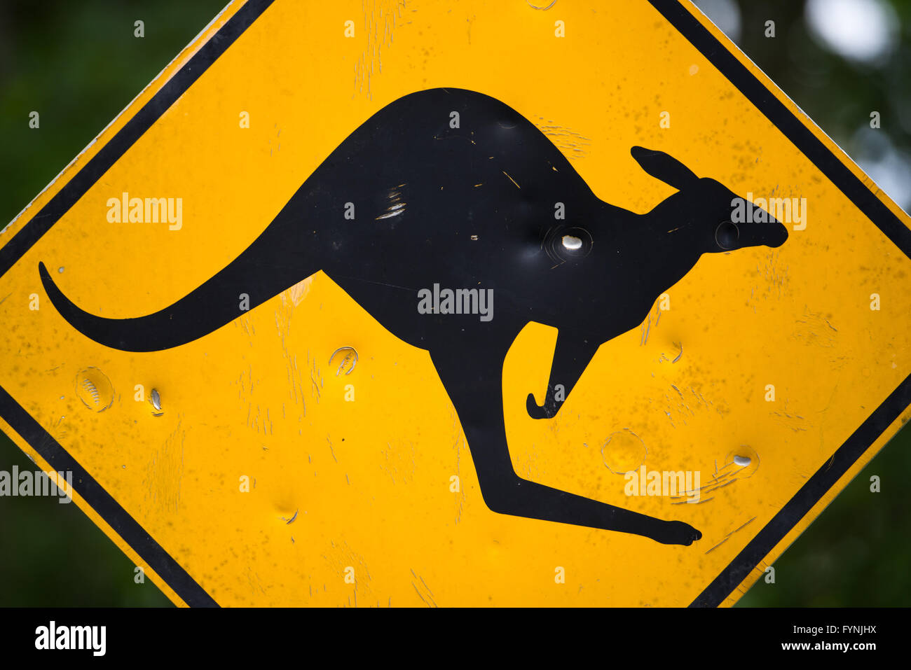 OUTBACK, Australien – vor dem Hintergrund der trockenen australischen Landschaft steht Ein gelbes, diamantförmiges Straßenschild mit einem springenden Känguru. Das legendäre Warnschild warnt Fahrer vor Wildtieren auf der abgelegenen Outback Road. Stockfoto