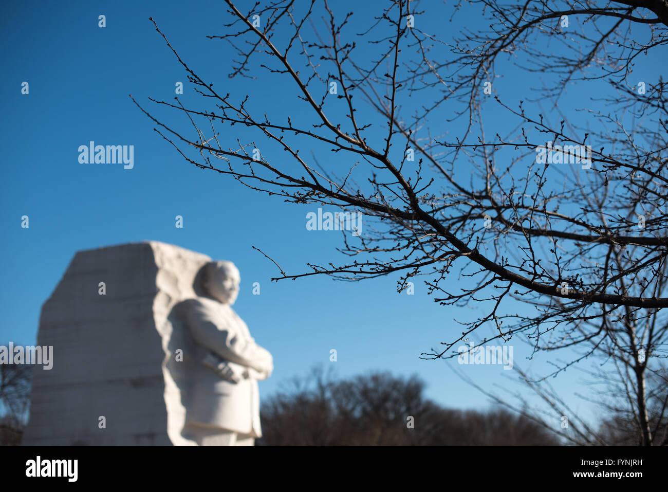 WASHINGTON DC, USA - das im Jahr 2011 eröffnete der Martin Luther King, Jr. Memorial das Civil Rights Leader und die Bürgerrechtsbewegung erinnert. Es steht am Ufer des Tidal Basin in Washington DC. Sein Herzstück ist eine große Statue von Dr. König, das von Lei Ellen Orth geschnitzt wurde. Im Vordergrund ist ein Pre-blühenden Zweig des berühmten yoshino Cherry Blossom Bäume, die das Tidal Basin. Stockfoto