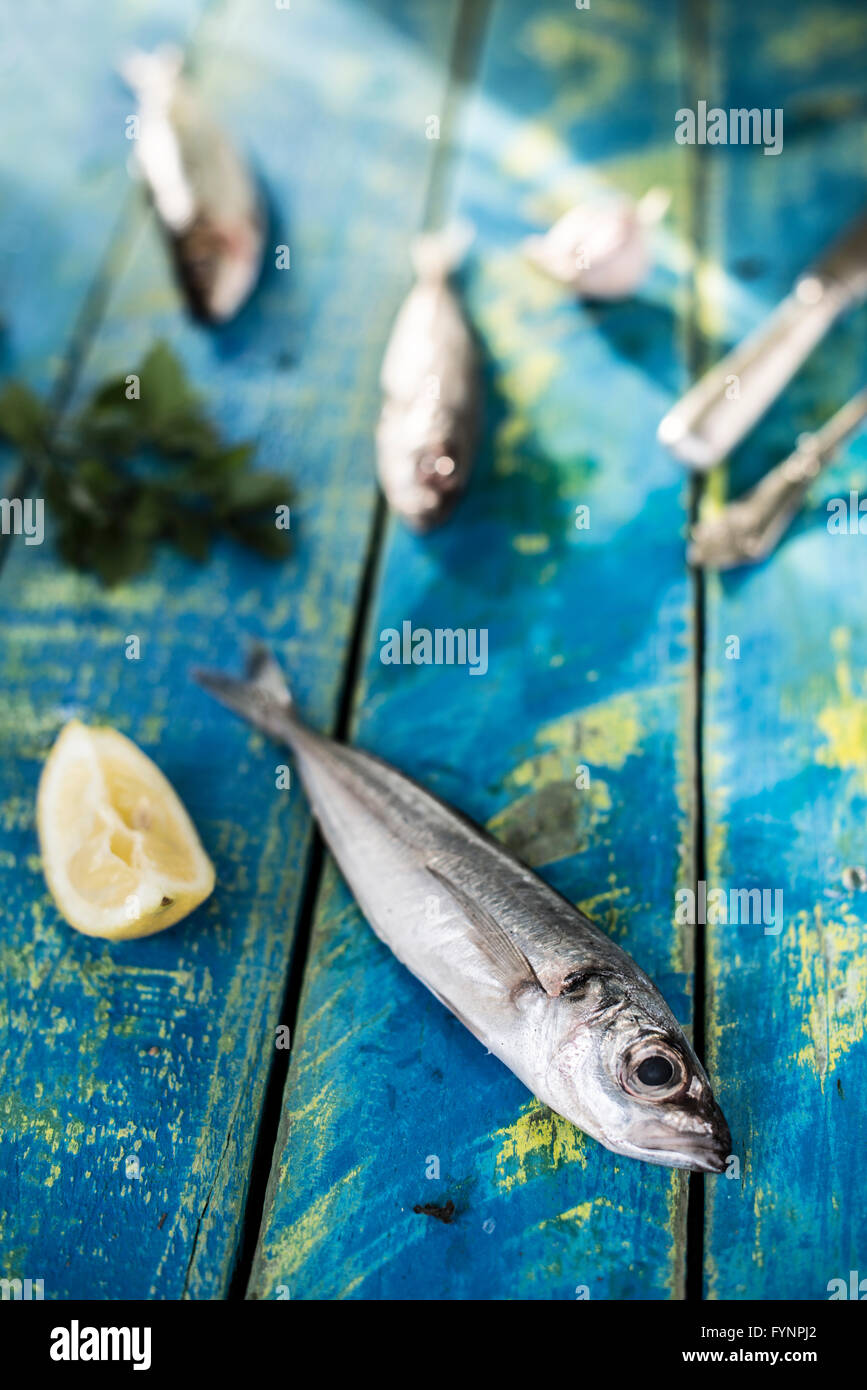 Waschen Sie Fisch. Goldbrasse, Seebarsch, Makrelen und Sardinen. Bulgarien, Plovdiv Stockfoto