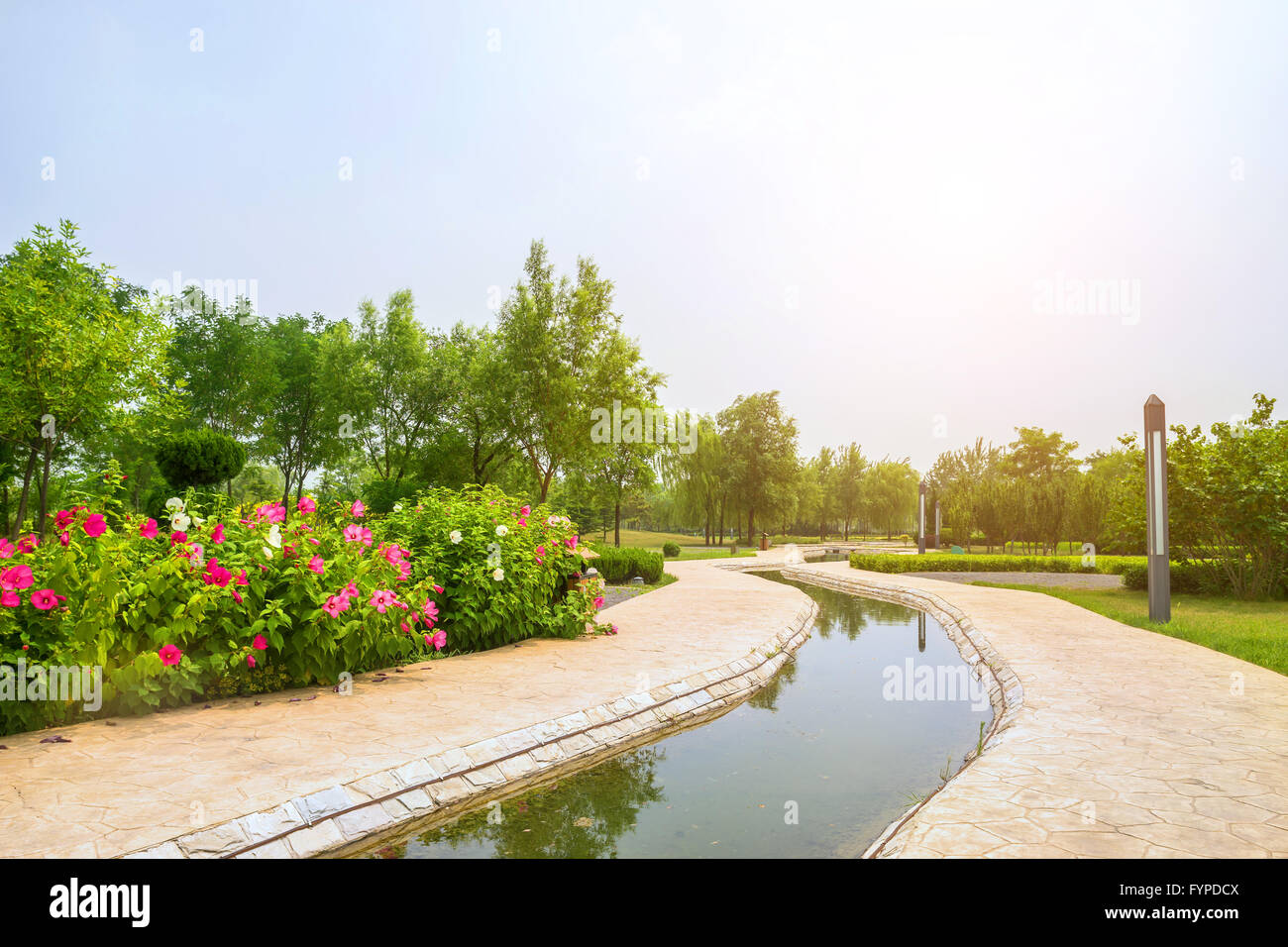 Strom rund um die Bäume in einem park Stockfoto