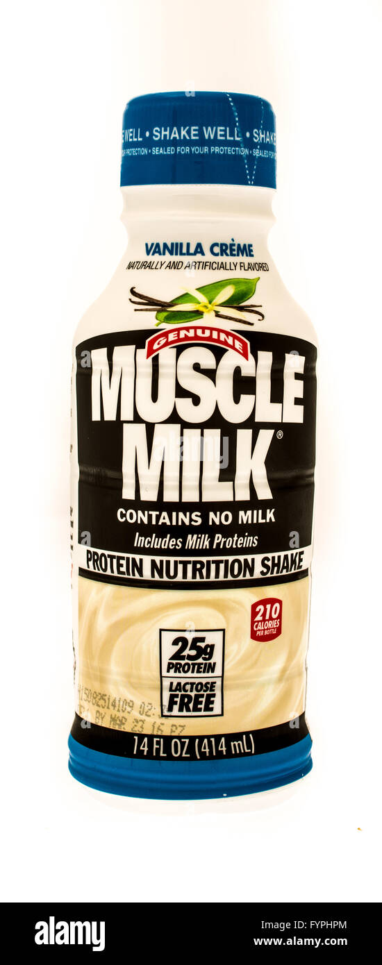 Winneconne, Wisconsin - 29. August 2015: Flasche Muslce-Milch-Protein-Shake in Creme Vanille-Geschmack Stockfoto