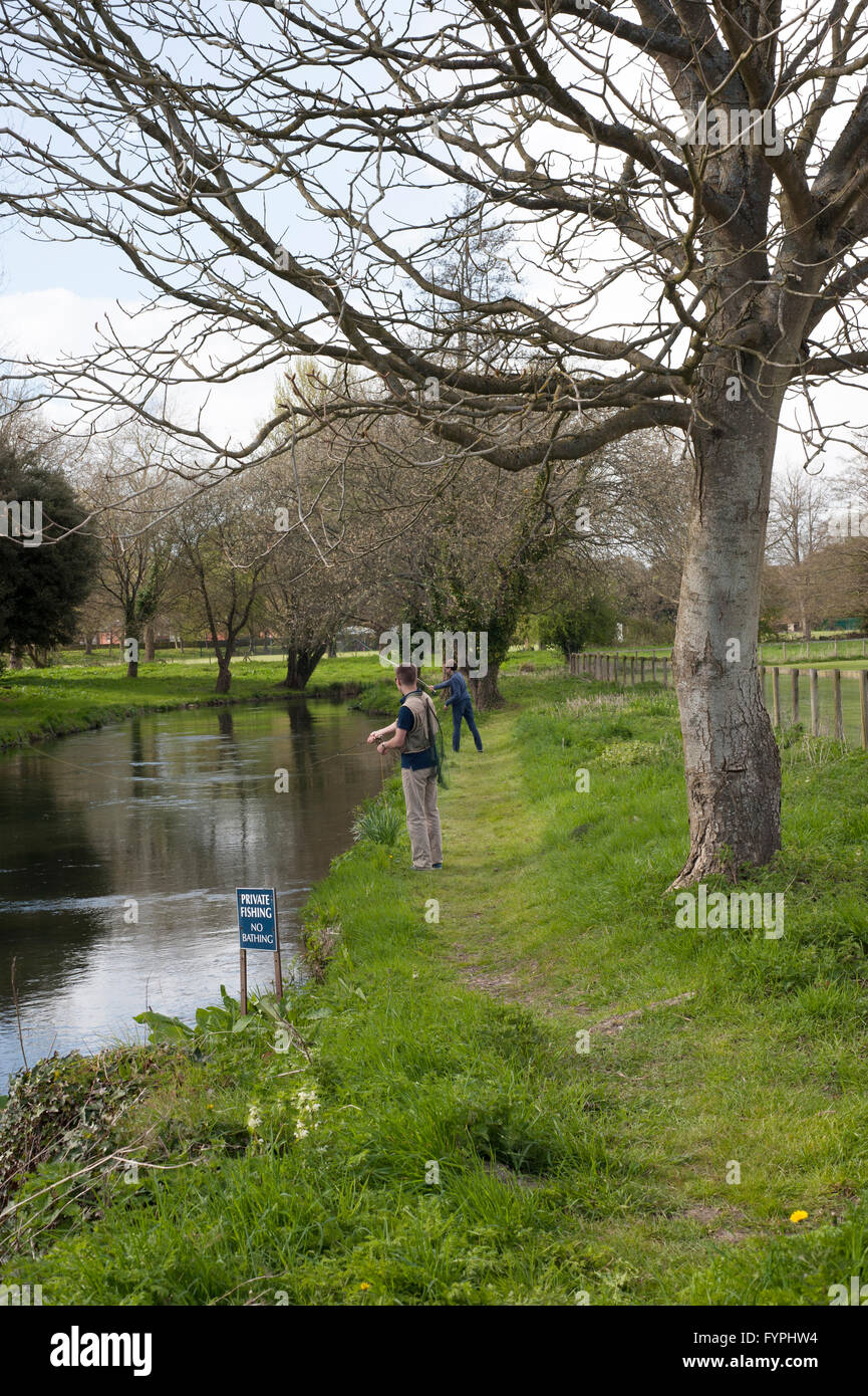 junge Männer Fliegenfischen auf Forellen auf einem kleinen Fluss in der Nähe von Winchester England uk Stockfoto