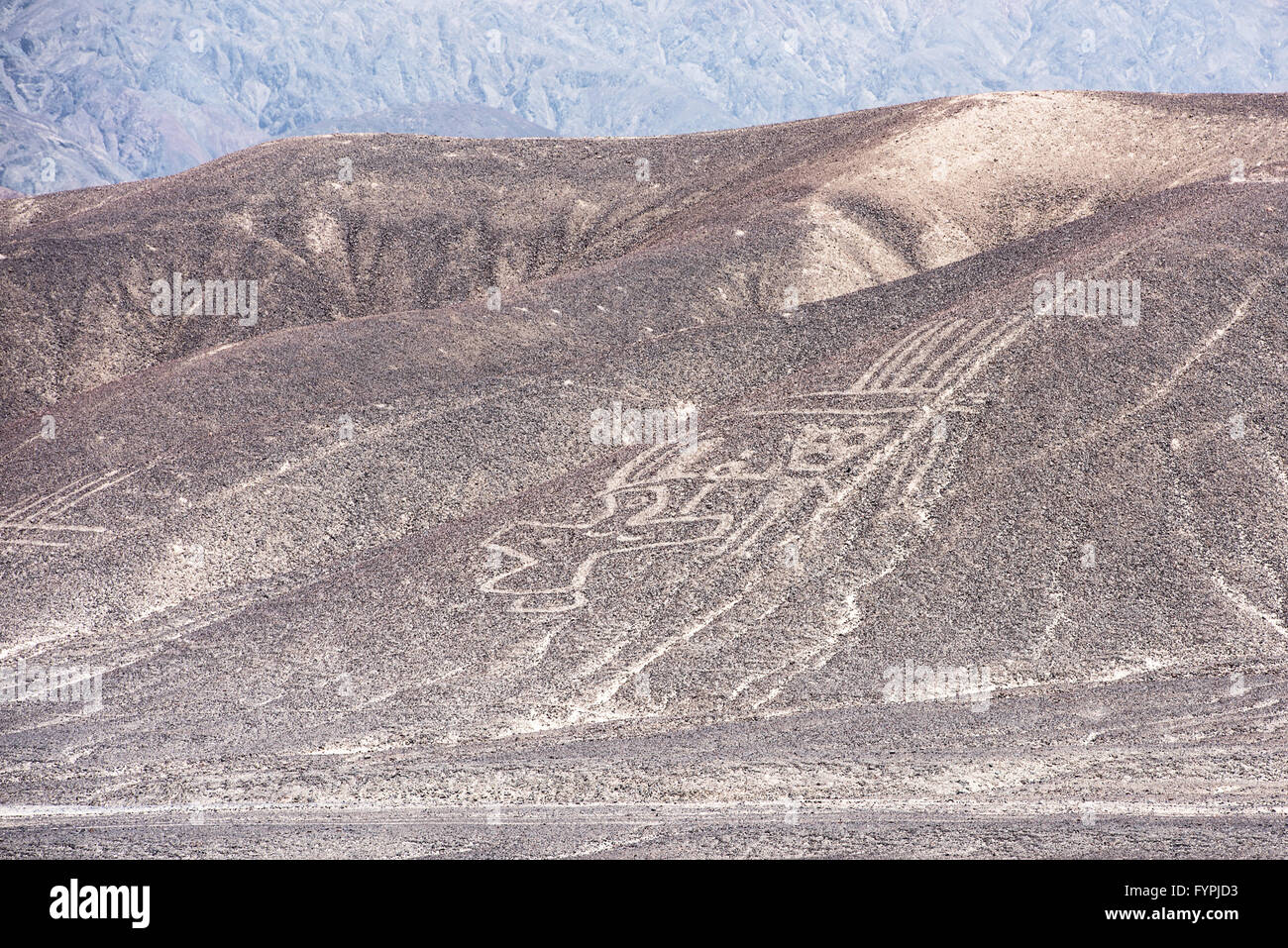 Palpa-Linien und Geoglyphen, Peru Stockfoto