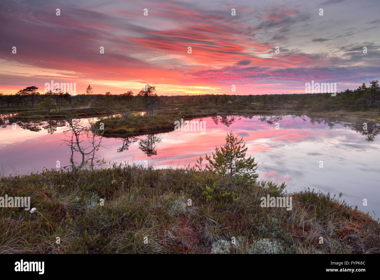 Sonnenuntergang im Moor Stockfoto