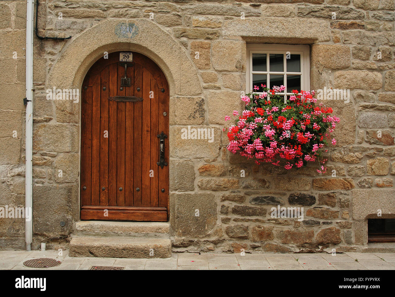 Tür und Fenster mit rosa Blüten in Roscoff (Frankreich) Stockfoto