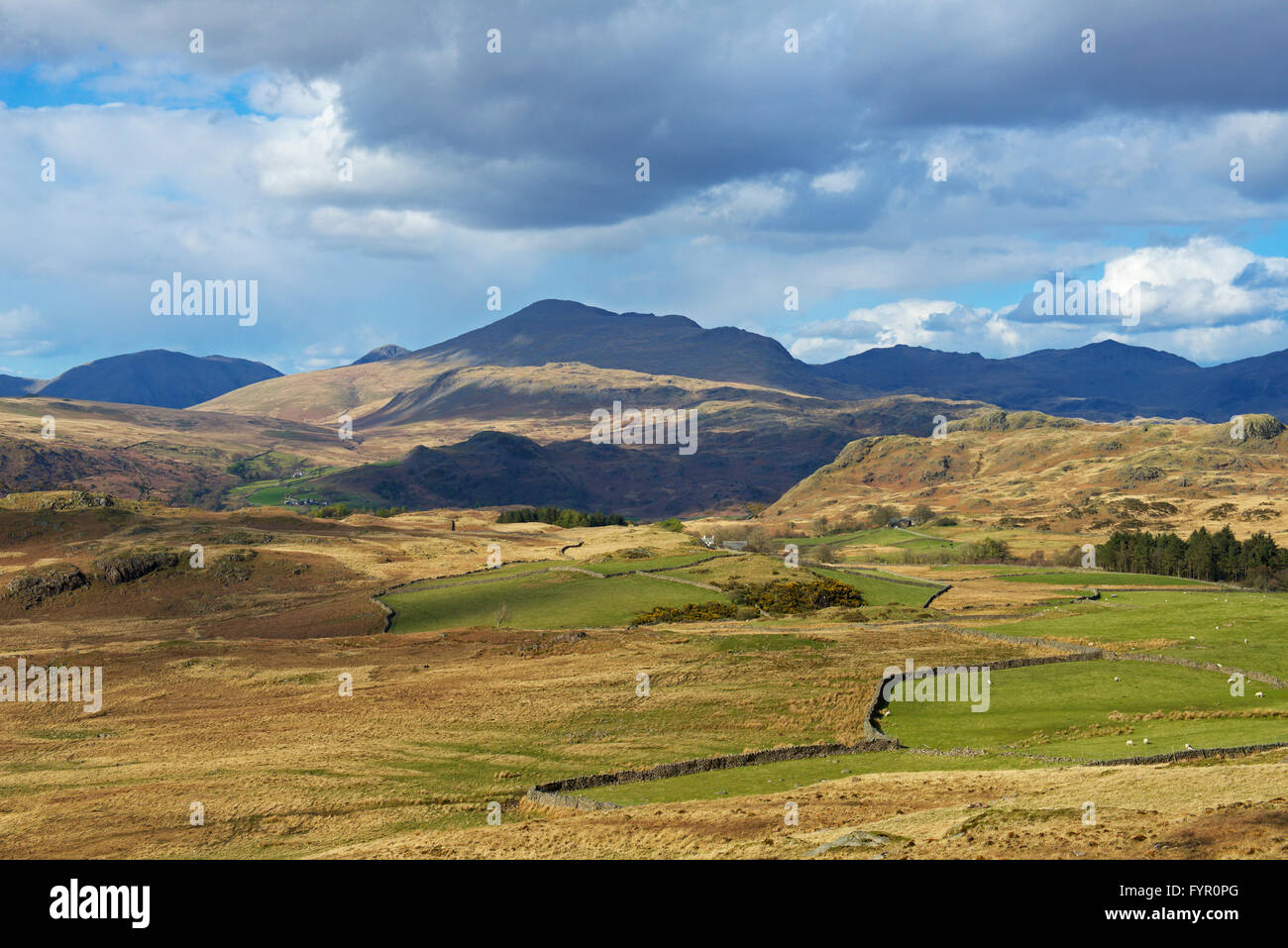 Birker fiel, Nationalpark Lake District, Cumbria, England UK Stockfoto