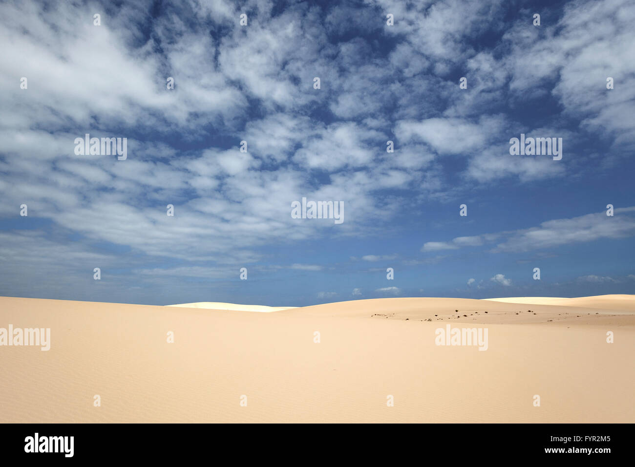 Sanddünen unter blauem Himmel mit Wolken, Wanderdünen von El Jable, Las Dunas de Corralejo, Corralejo Naturpark Stockfoto