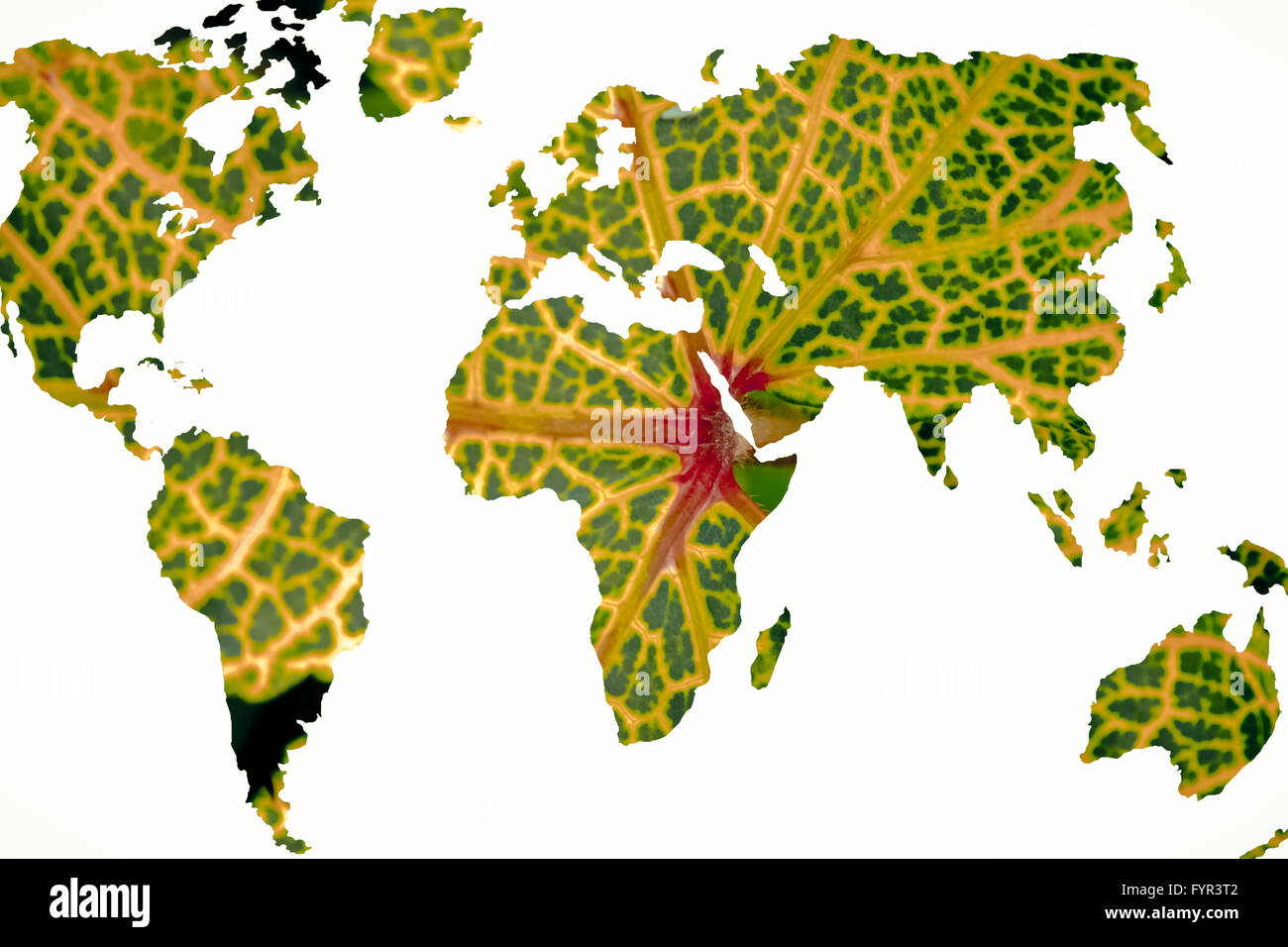 Welt Kartenvorlage mit Hintergrund Stockfoto