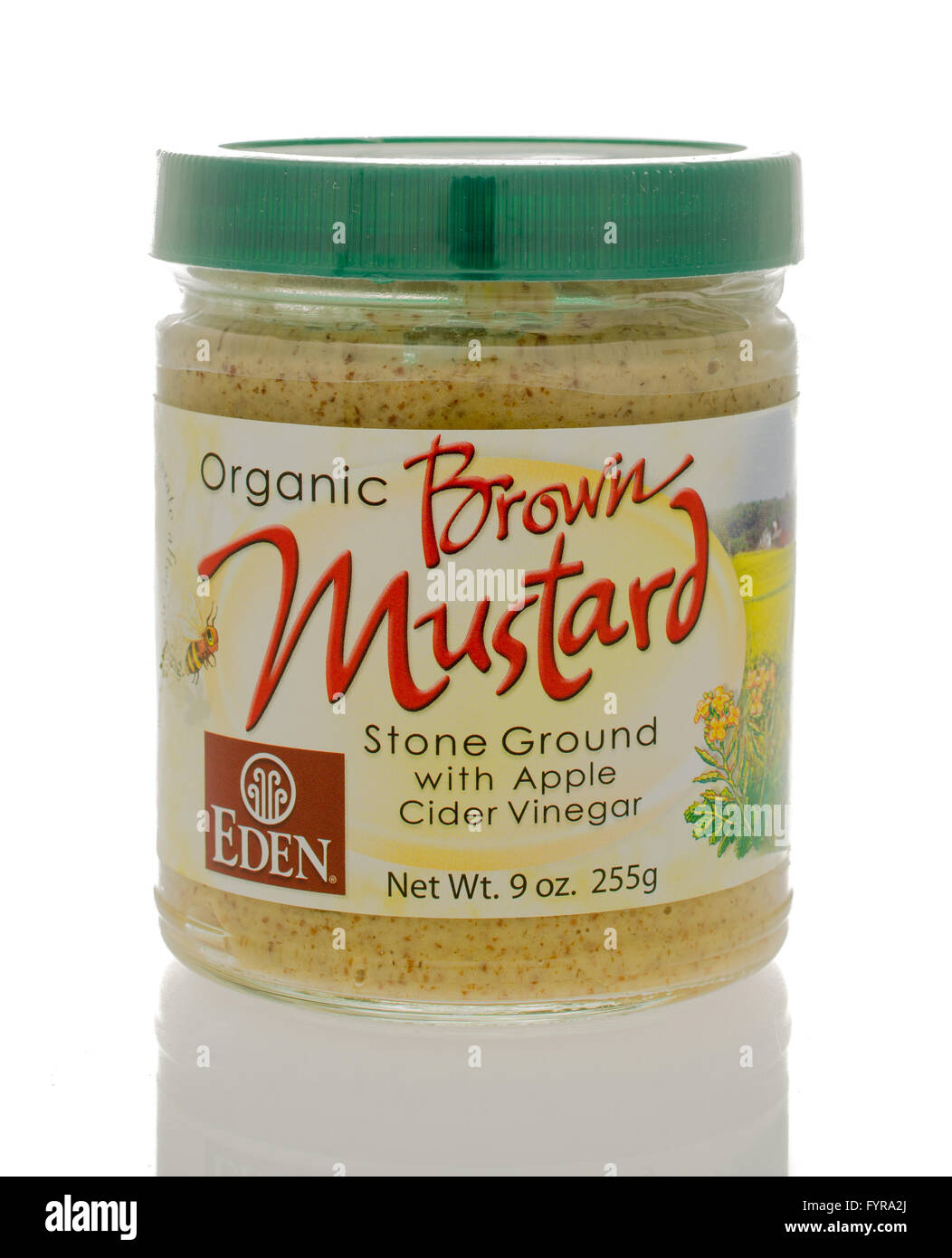 Winneconne, Wisconsin - 19. Februar 2016: Bottle of Eden Stein geschliffen mit Apfelsenf Apfelwein Viegar Brown Stockfoto