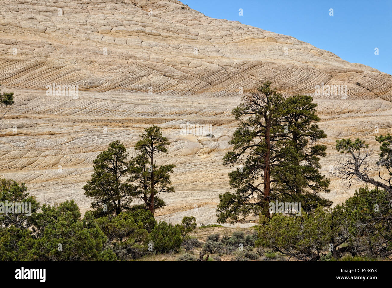 Kreuz, Bettwäsche-Sandstein - Capitol Reef NP - Utah Stockfoto