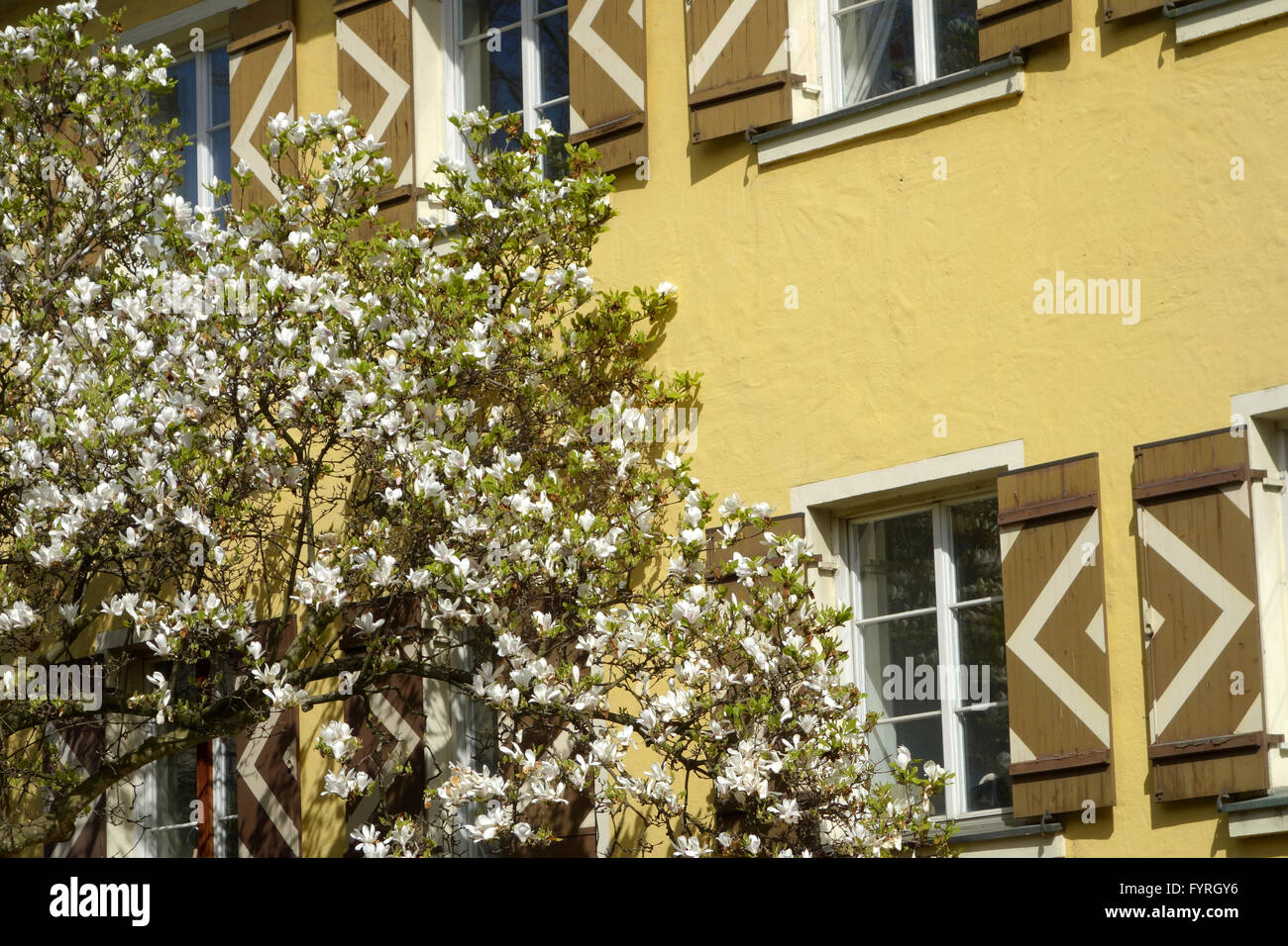 Bregenz, Österreich Stockfoto