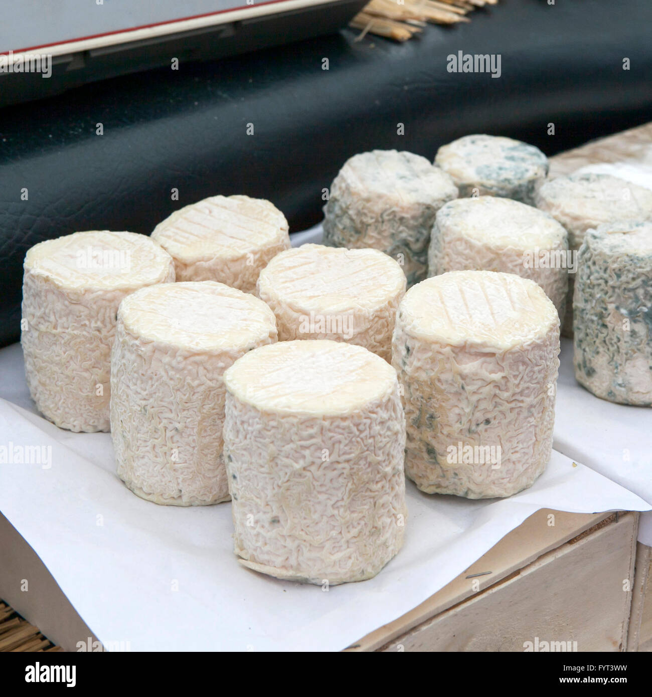 kretische Weichkäse für den Verkauf auf lokalen Bauernmarkt Stockfoto