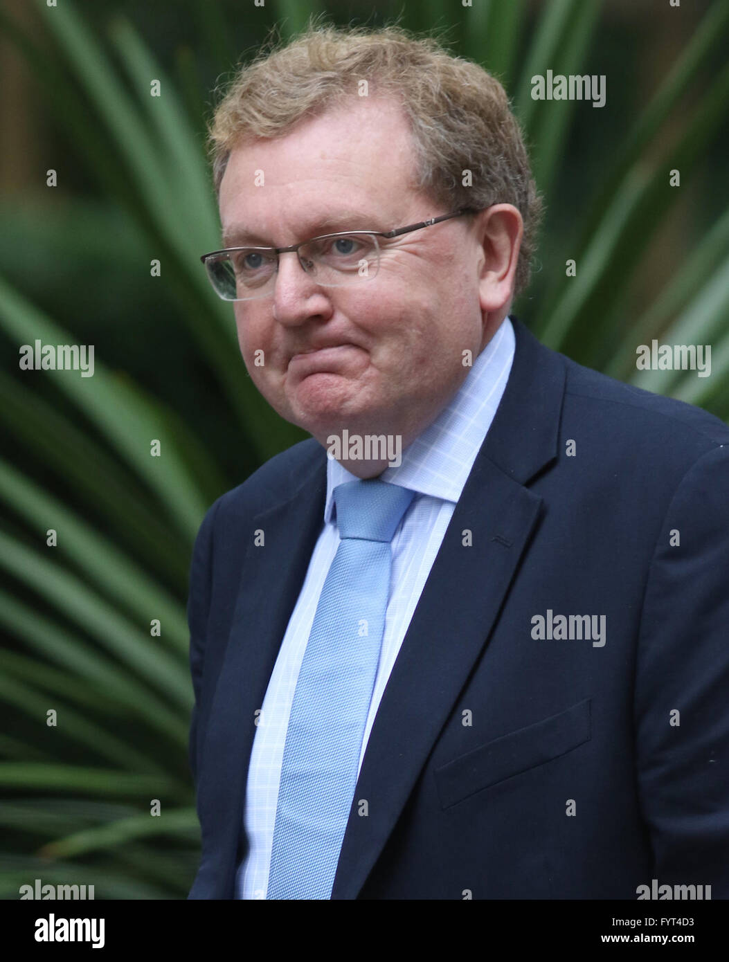 London, UK, 14. Juli 2015: David Mundell gesehen in der Downing Street in London Stockfoto