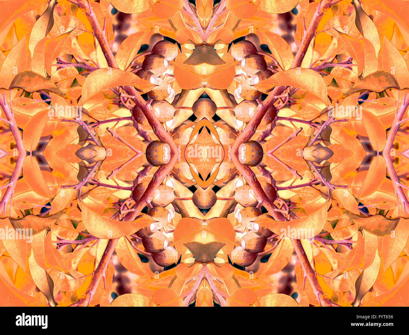 Digitale Collage und Manipulation Technik Natur floral Collage Motiv Musterdesign Mosaik in lebhaften Orangetönen. Stockfoto