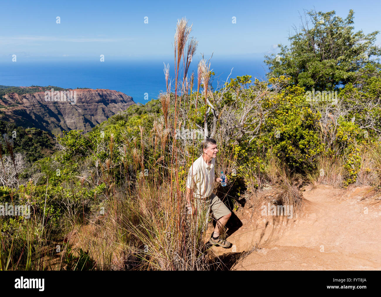 Awaawapuhi Trail Ende auf Felsen über Na Pali-Küste auf Kauai Stockfoto