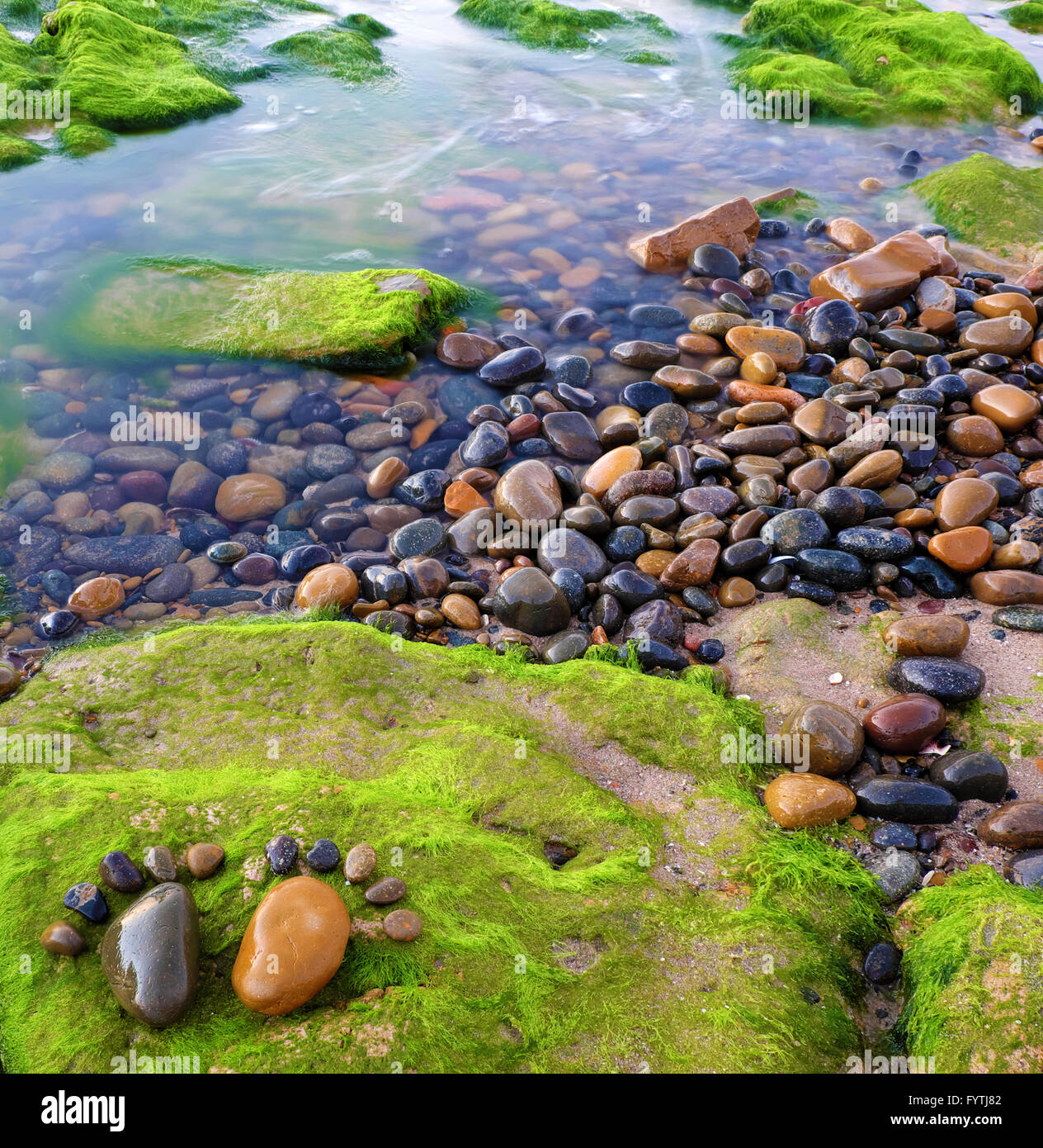 Paar des Fußes durch Kiesel auf grüne Algen Hintergrund, erstaunliches Konzept der Füße auf Alge Surface, Kunst-Produkt am Meer Stockfoto