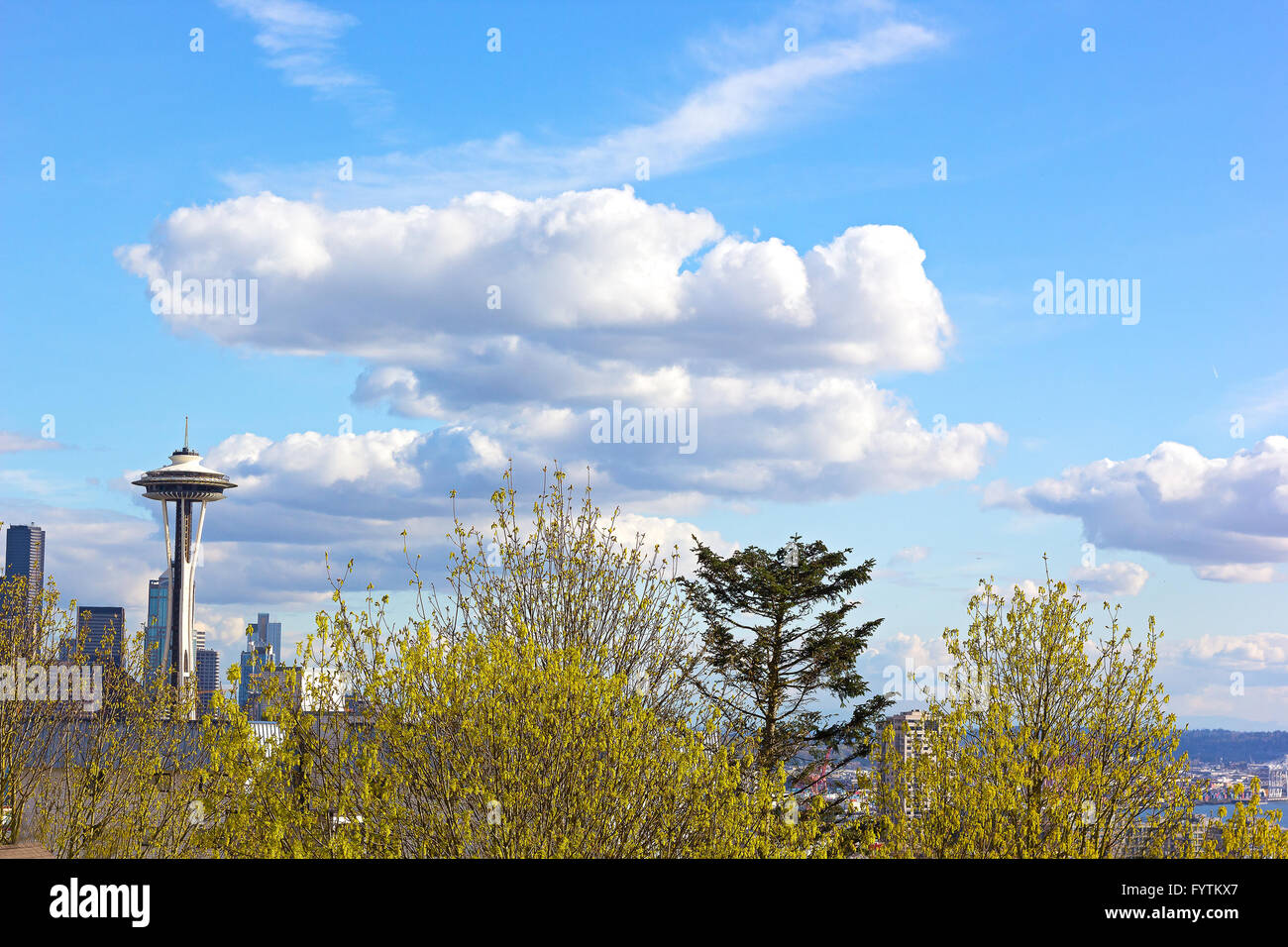 Frühling in Seattle, Washington, USA Stockfoto