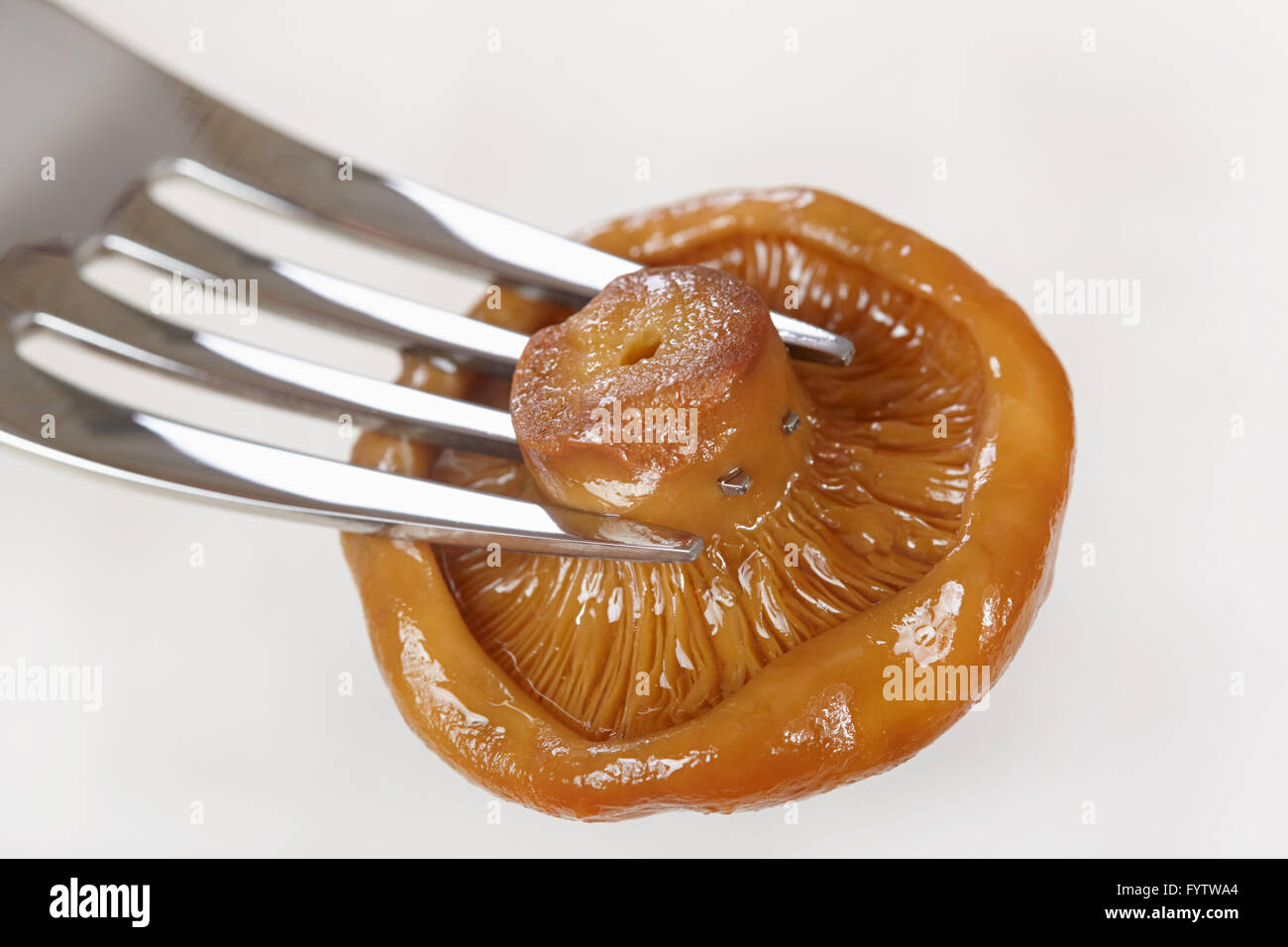 Salzige orangen Pilz auf einer Gabel-Nahaufnahme Stockfoto