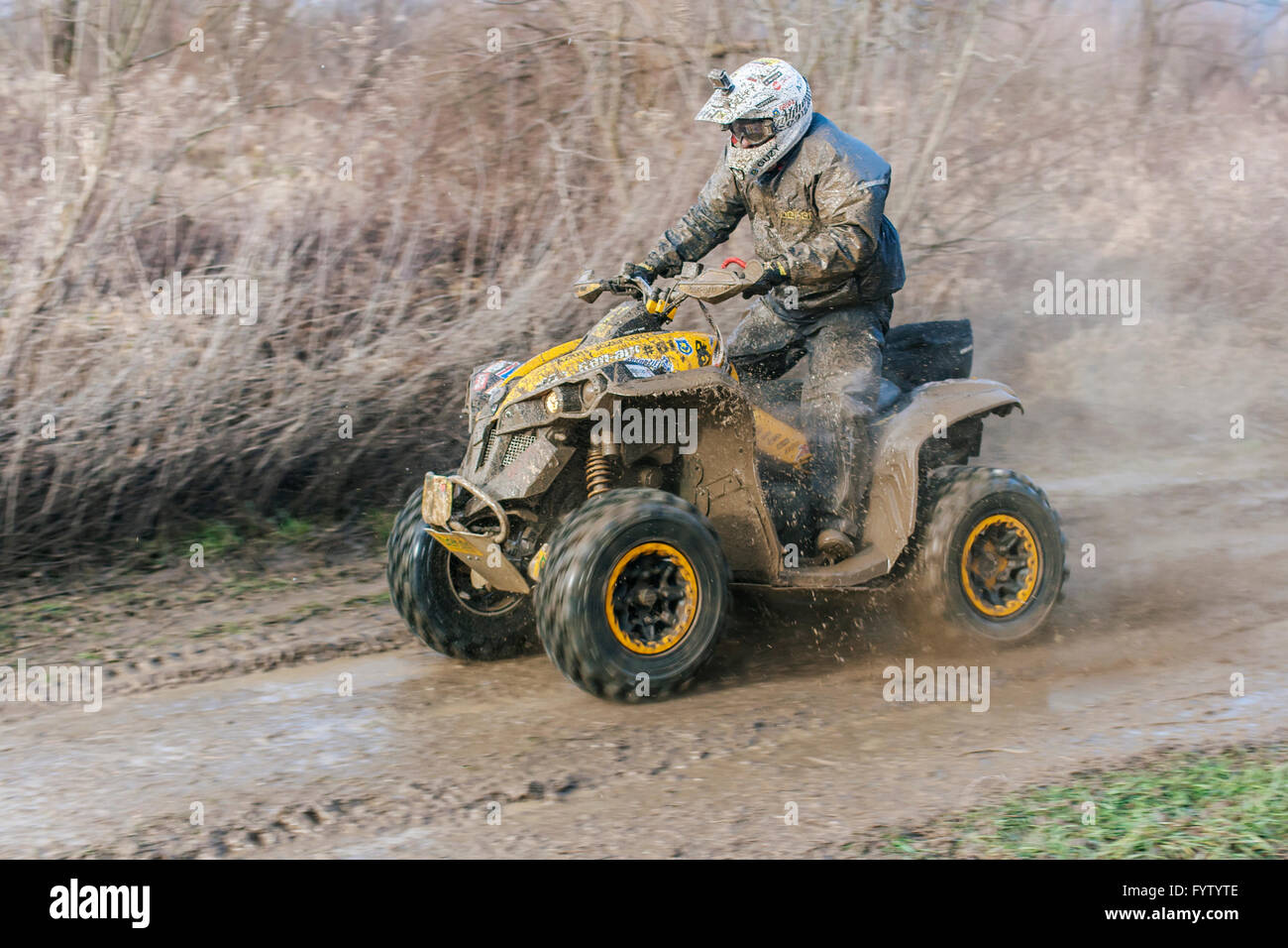 ATV - Quad Fahrer vergeht schnell durch die schlammigen Pfütze Stockfoto