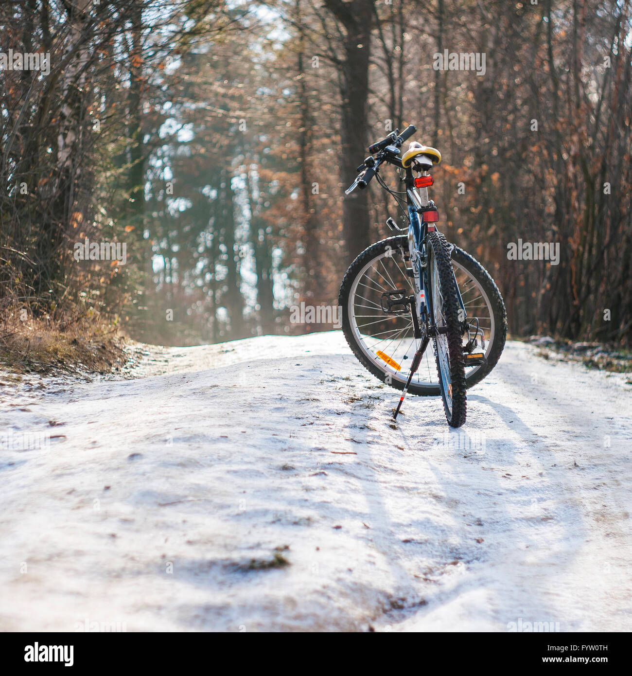 Fahrrad stehen auf dem verschneiten Weg im Wald Stockfoto