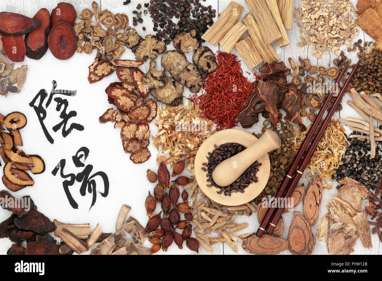 Traditionelle chinesische Medizin Zutaten für traditionelle pflanzliche Arzneimittel mit Yin und Yang Mandarin Kalligraphie Symbolen. Stockfoto