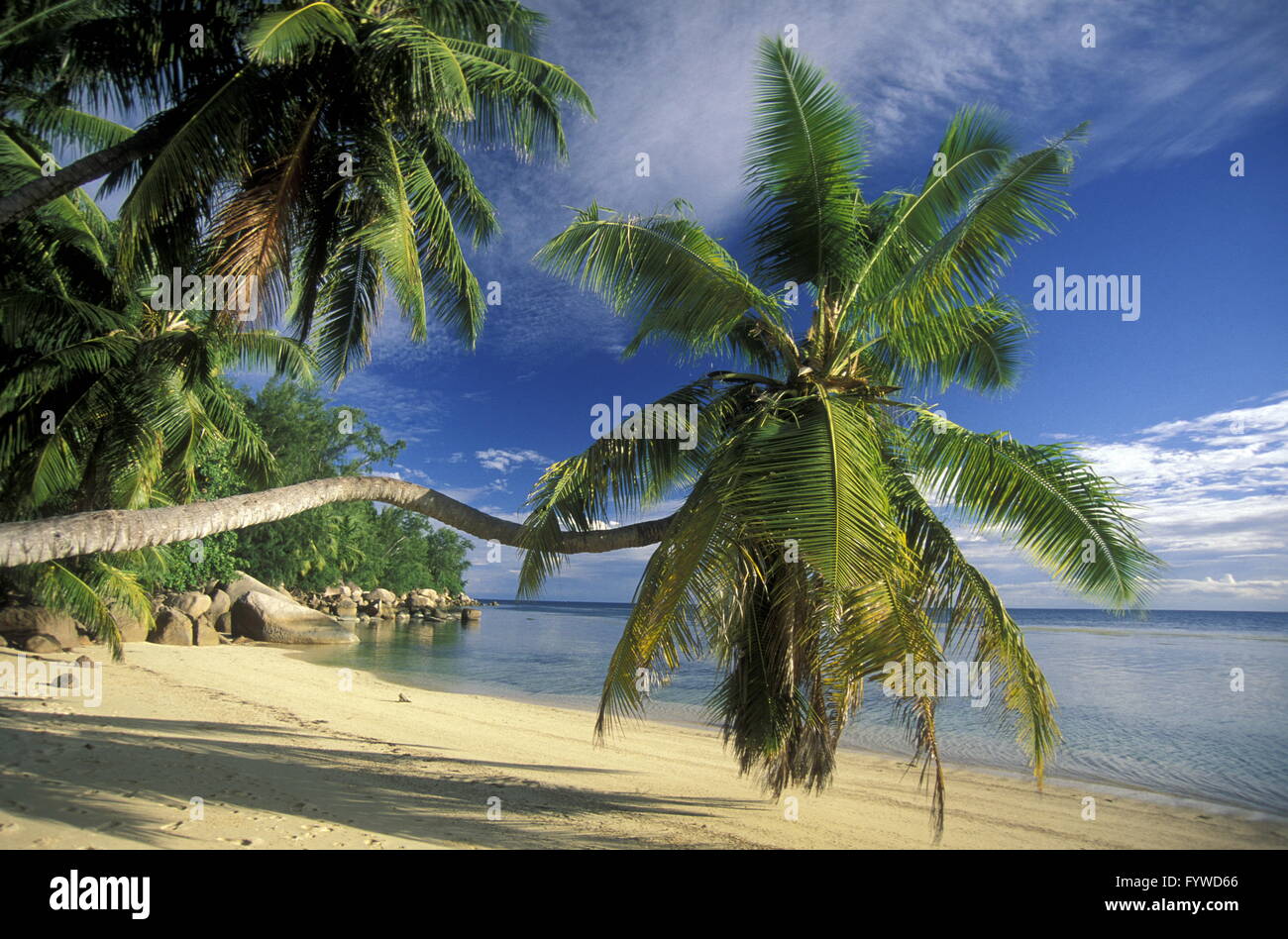 INDISCHER OZEAN SEYCHELLEN LA DIGUE BEACH Stockfoto