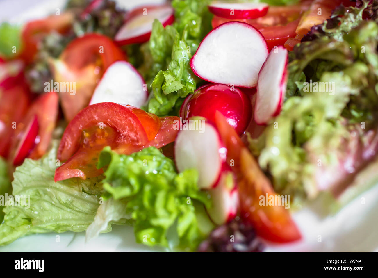 Salat Stockfoto