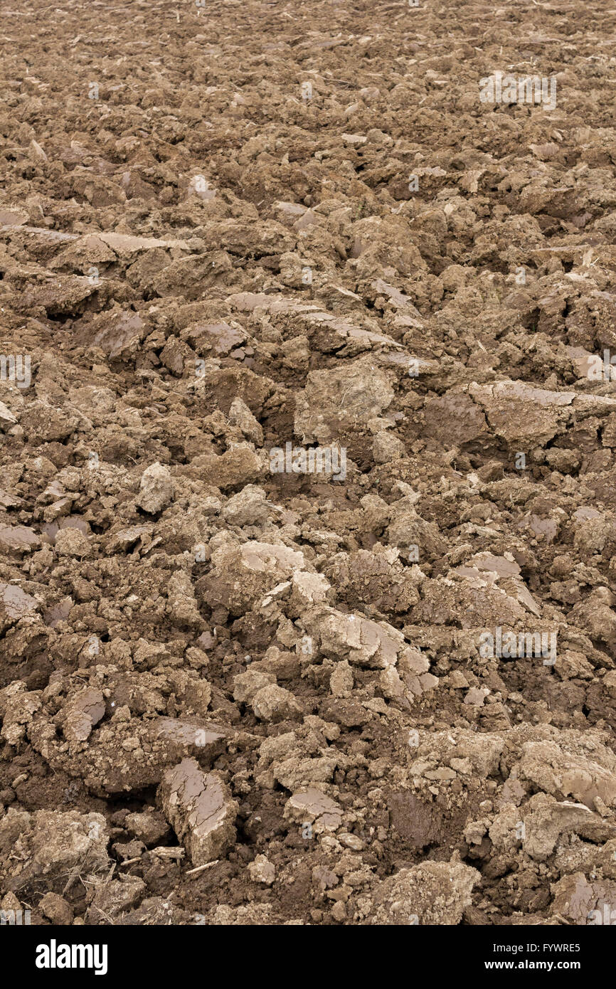 Gepflügtes Feld Stockfoto