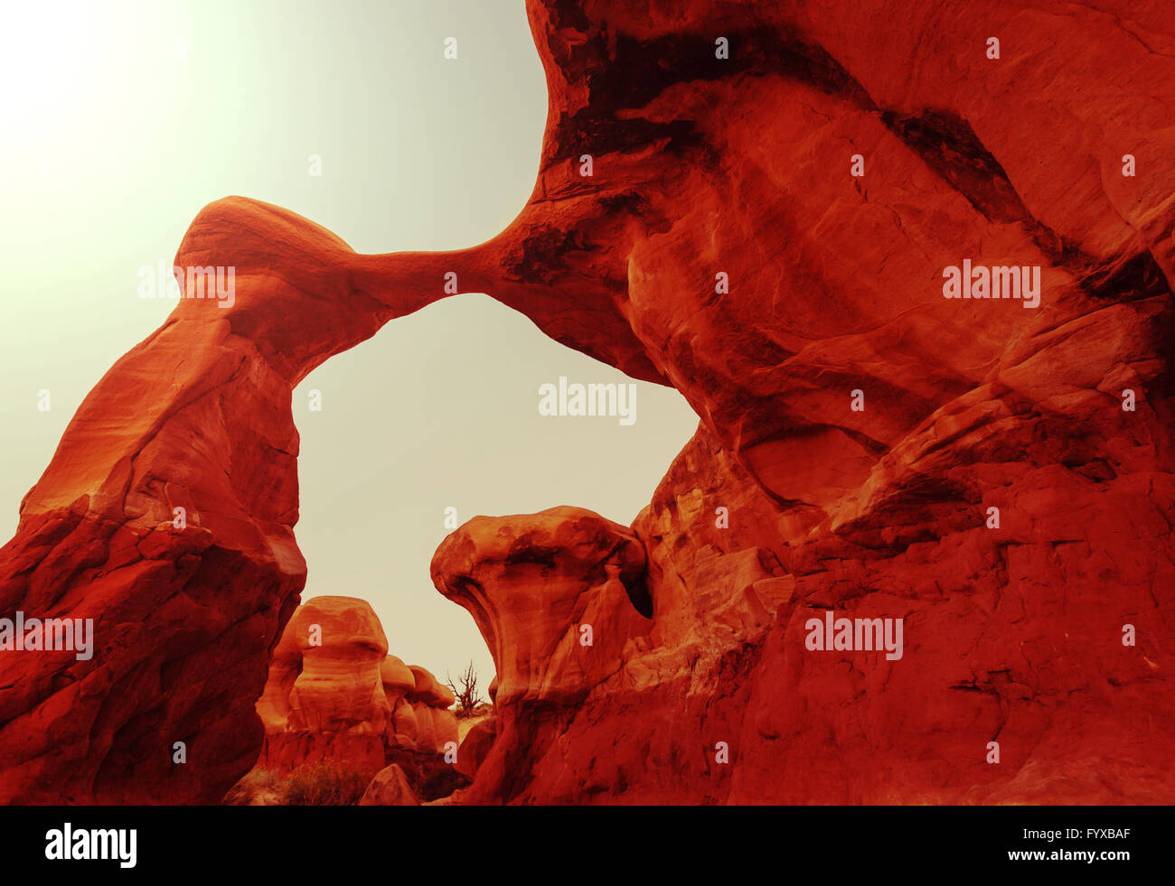 Devils Garden Stockfoto