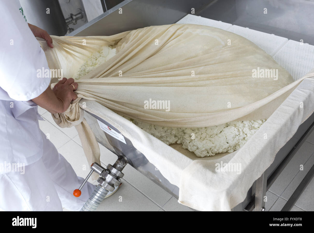 Griechischer Käse Stockfoto