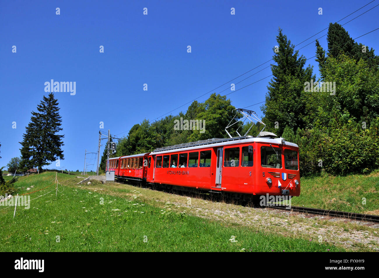 Vitznau-Rigi-Bahn, Zahnstange-undzahntrieb Gleis, rack-Eisenbahn, Rigi,  Kanton Schwyz, Schweiz Stockfotografie - Alamy