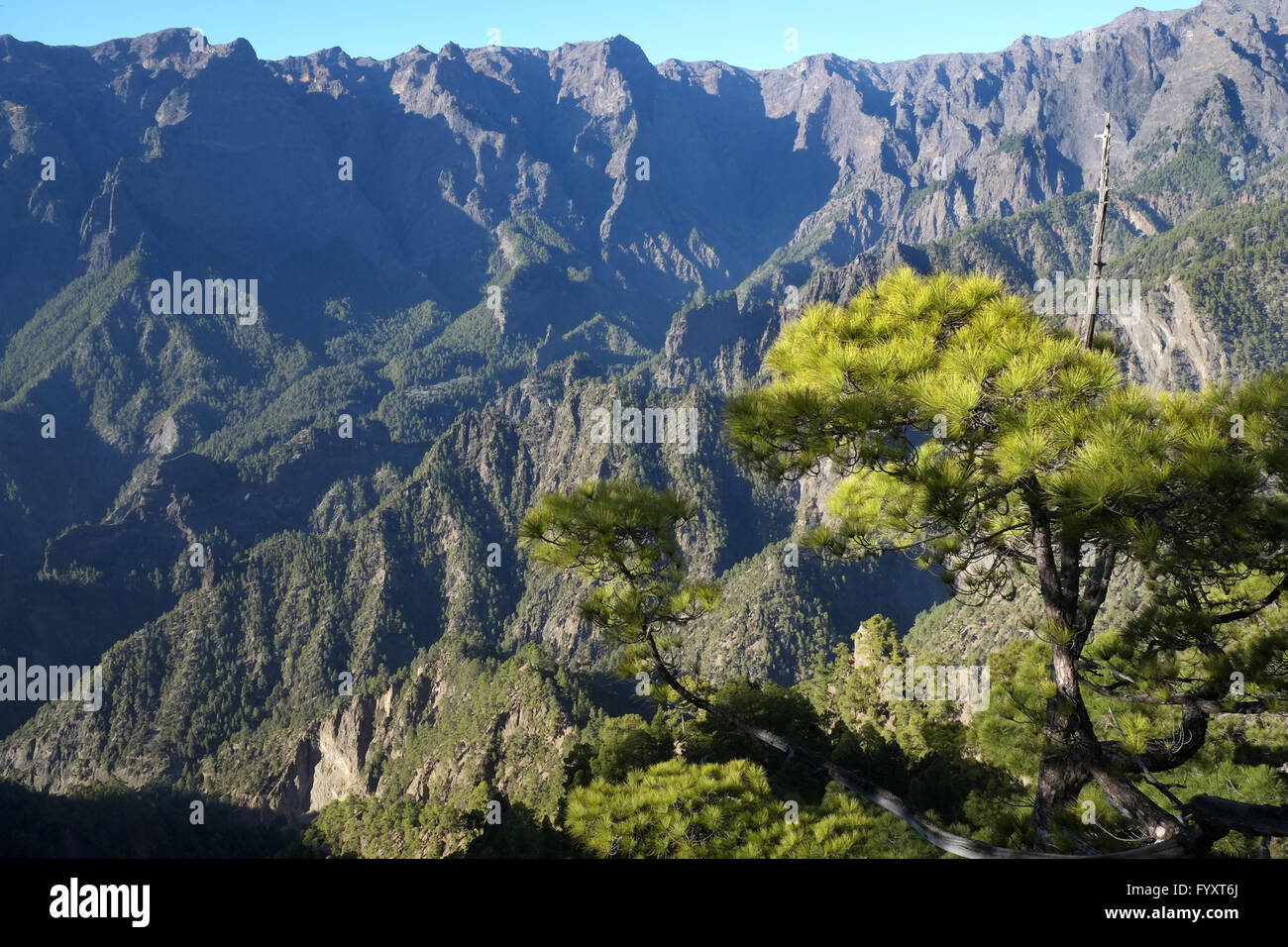 Caldera de Taburiente, La Palma Stockfoto