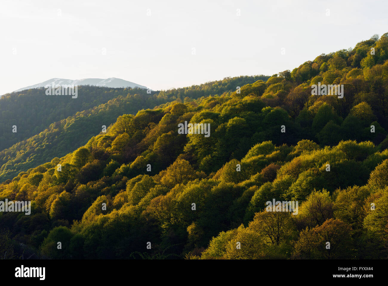 Eurasien, Kaukasus, Armenien, Provinz Lori, ländliche Landschaft Stockfoto