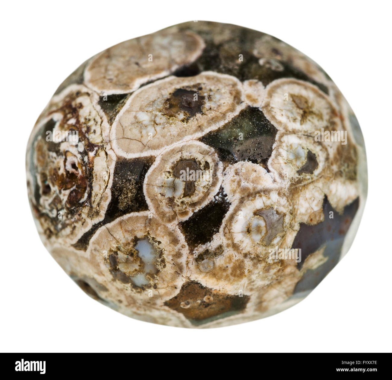 Makroaufnahmen von mineralischen Naturstein - Ball aus Madagaskar Rhyolith (Ocean Jaspis, Orbicular Jaspis, turitella Achat) isola Stockfoto