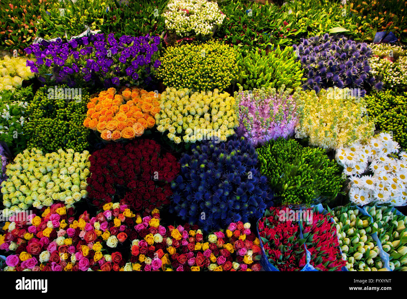 Bunte Blumen Hintergrund. Stockfoto