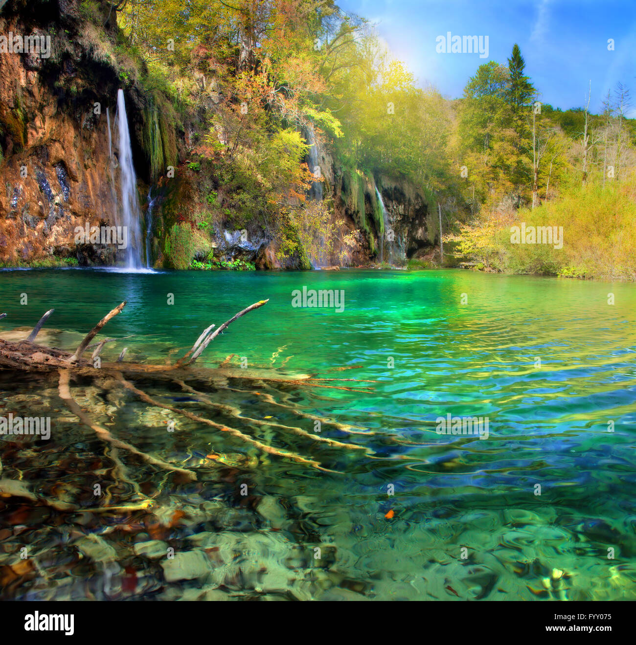 Wasserfall im Wald. Kristallklares Wasser. Stockfoto