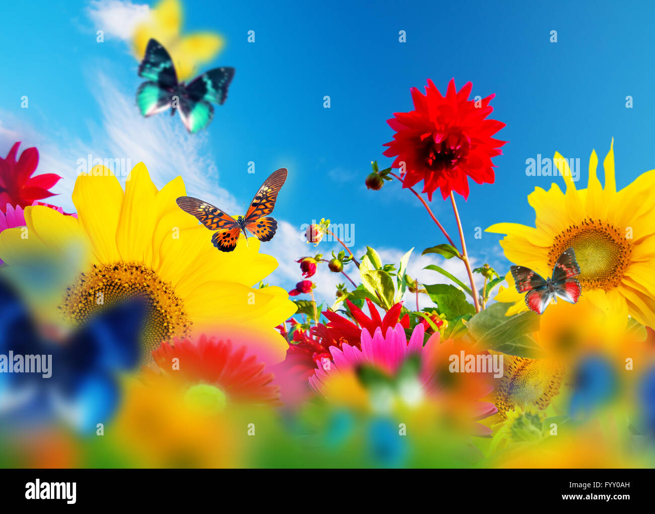 Sonniger Garten mit Blumen und Schmetterlingen Stockfoto