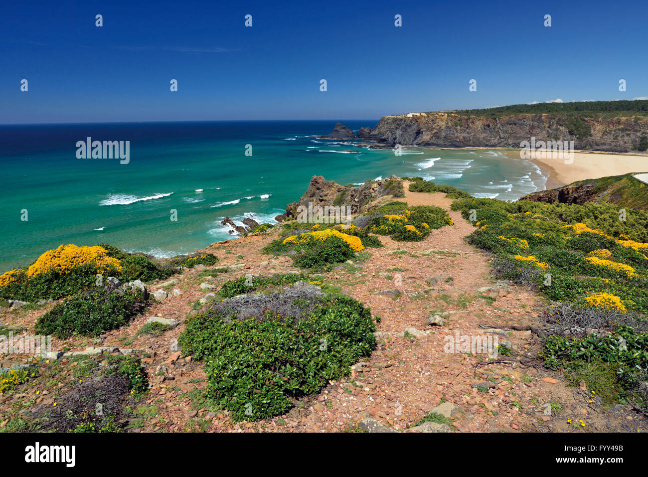 Portugal, Algarve: Blick aufs Meer von Klippen mit Küstenvegetation, naturbelassenen Strand Praia de Odeceixe Stockfoto