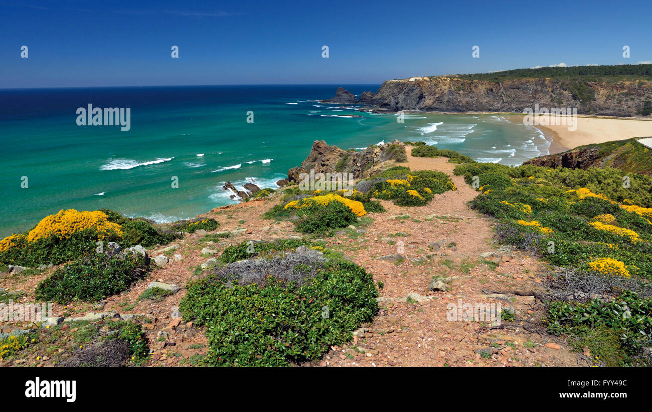 Portugal, Algarve: Blick aufs Meer von Klippen mit Küstenvegetation, naturbelassenen Strand Praia de Odeceixe Stockfoto