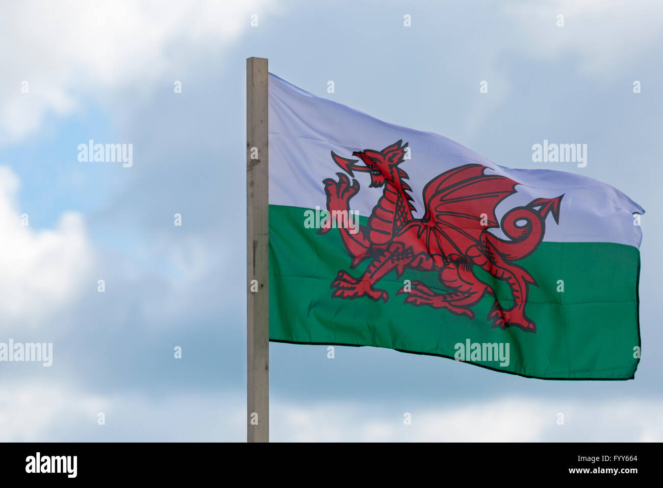 Walisische Flagge weht im Wind bei Dorset UK im April Stockfoto