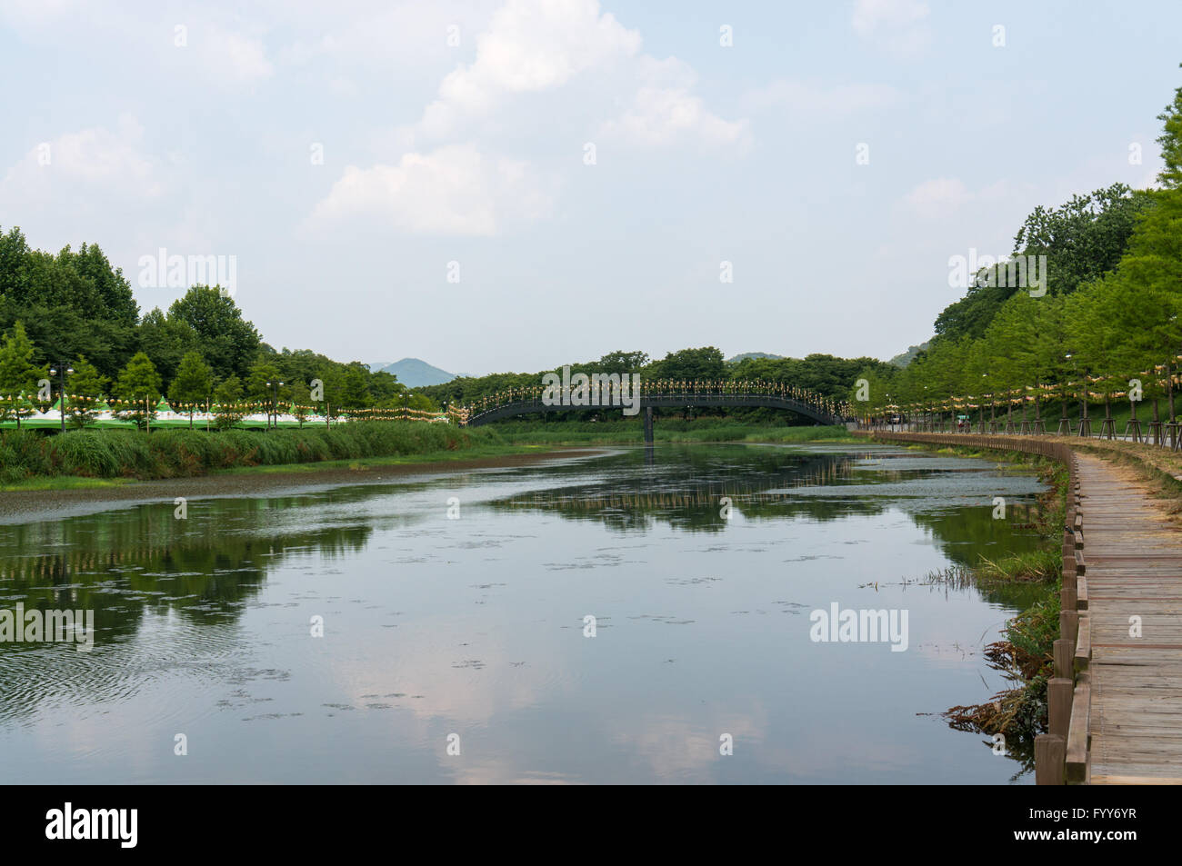 Reflexionen in einem Flussufer Stockfoto