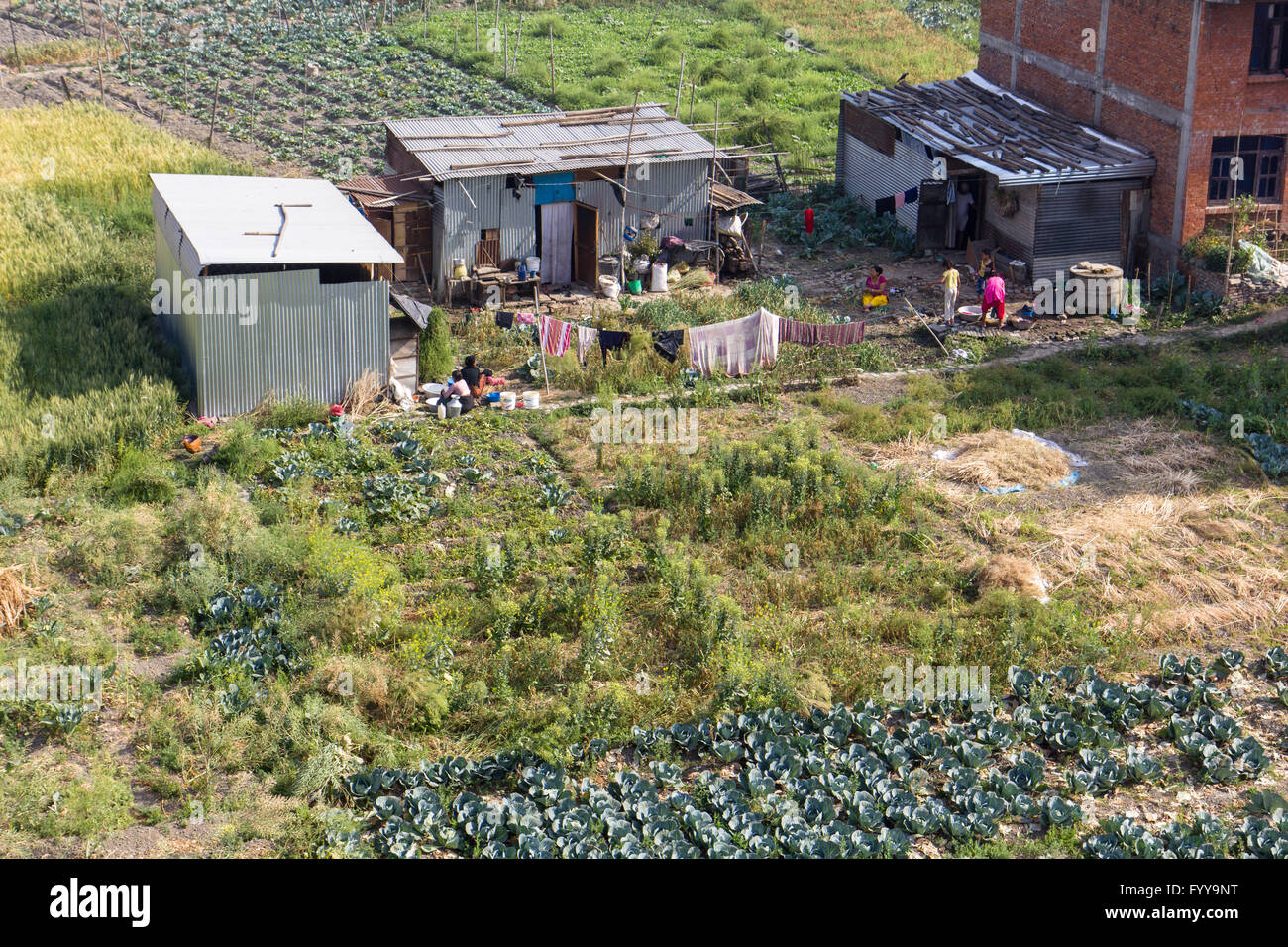 Opfer des Erdbebens in 2015 Nepal leben in Wellblechhütten. Stockfoto