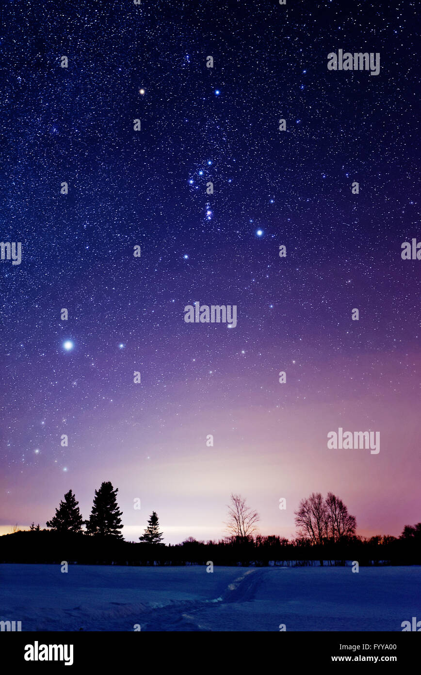 Das Sternbild Orion und Sirius in den Winterhimmel in Quebec ...