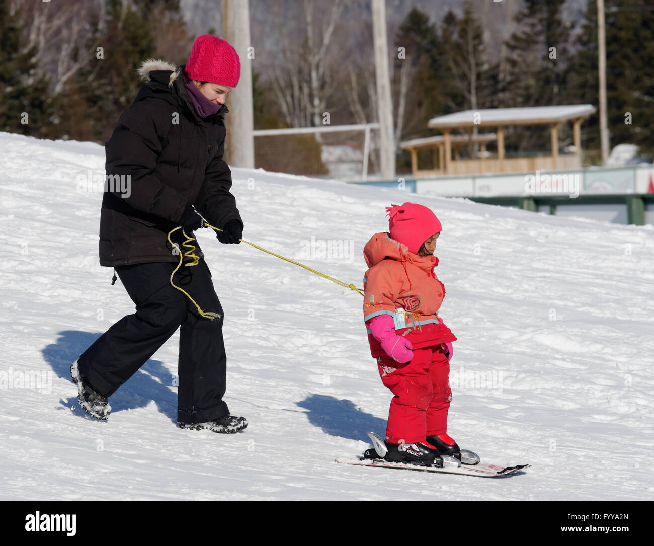 Eine Mutter lehrt ein kleines Mädchen, ski, gebunden halten ein Seil, das Mädchen als She-Ski, Winter in Quebec Stockfoto
