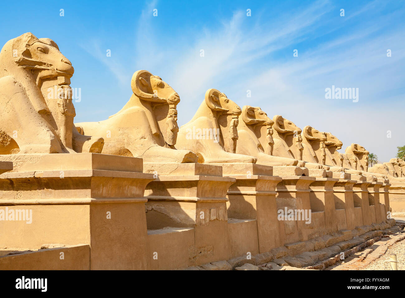 Allee der Widderköpfige Sphingen. Karnak-Tempel. Luxor, Ägypten Stockfoto