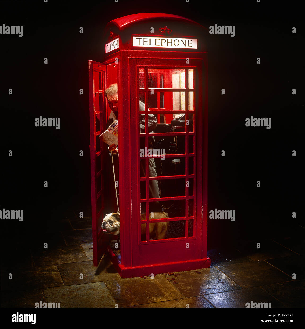 Englisch Bulldog und älteren Mann in einem roten Telefonzelle im Außenbereich. Stockfoto