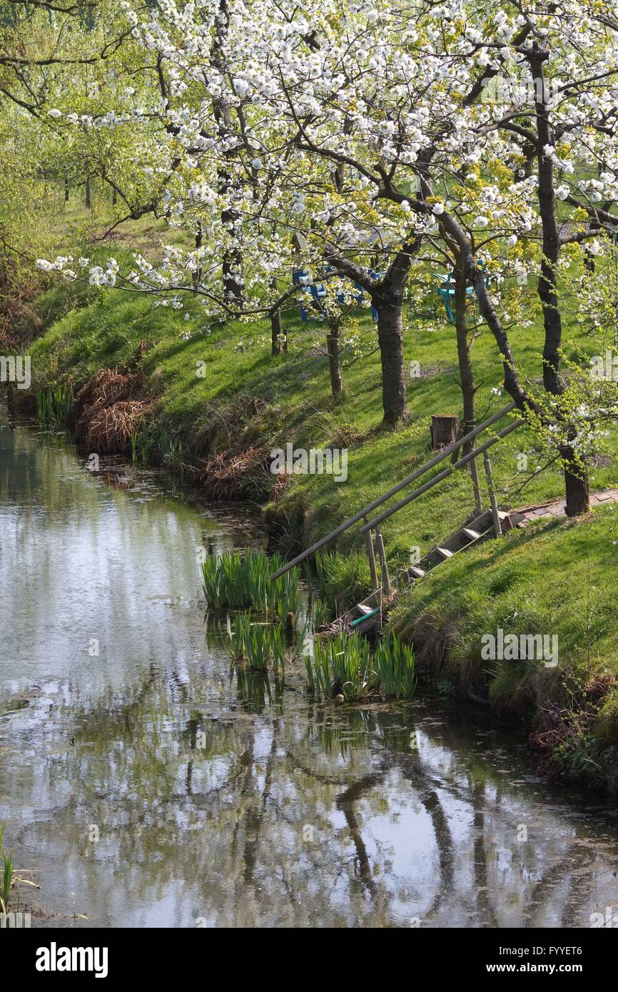 alte hölzerne Brücken und alten, Holz-strukturierte Backsteinhäuser sind typisch für die beliebte Tourismusregion rund um Steinkirchen in das so genannte "Altes Land" (altes Land) in der Nähe von Hamburg - April 2011 Stockfoto