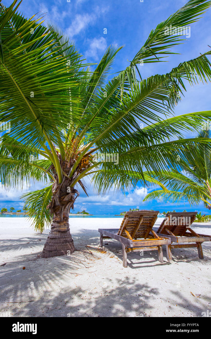 Tropischen Insel mit Sandstrand, Palmen und Tourquise klares Wasser Stockfoto